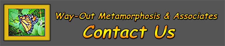 wma contact us